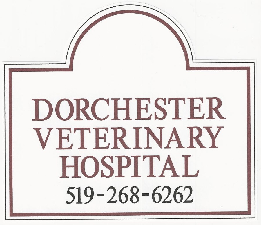 Dorchester Veterinary Hospital